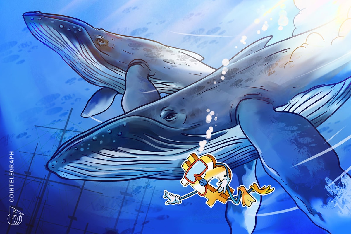 Massive Bitcoin whale buys $200M in BTC, another wakes up after 8 years